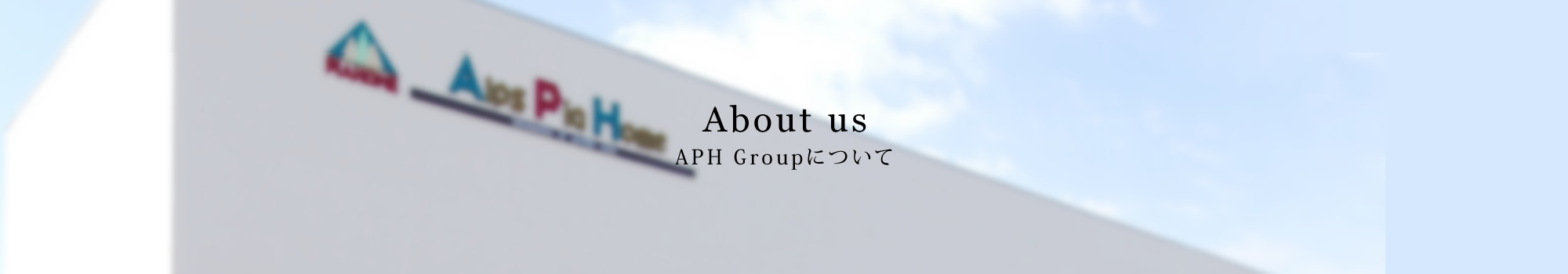 APH Groupについて